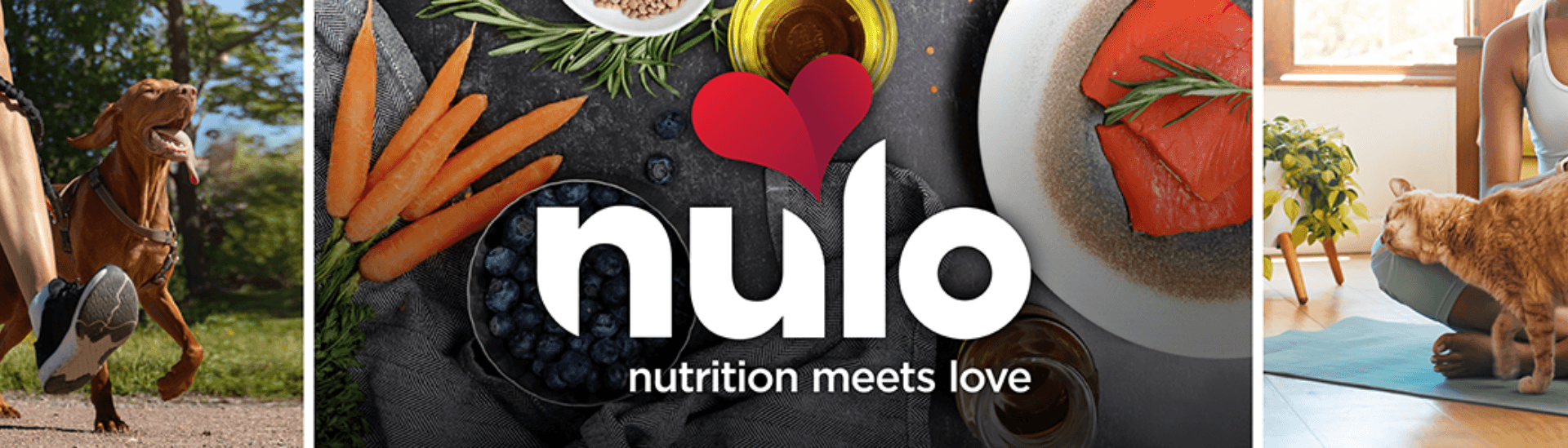 Nulo, Inc.