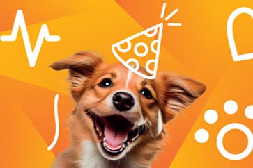Noviko Animal Health s.r.o.