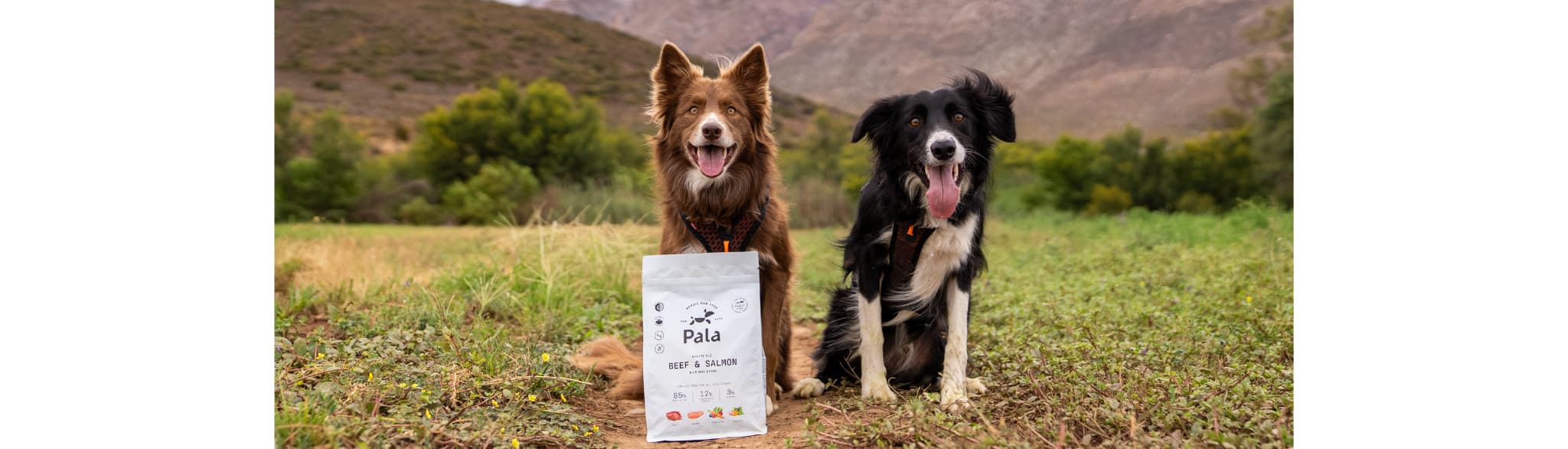 Pala Petfoods