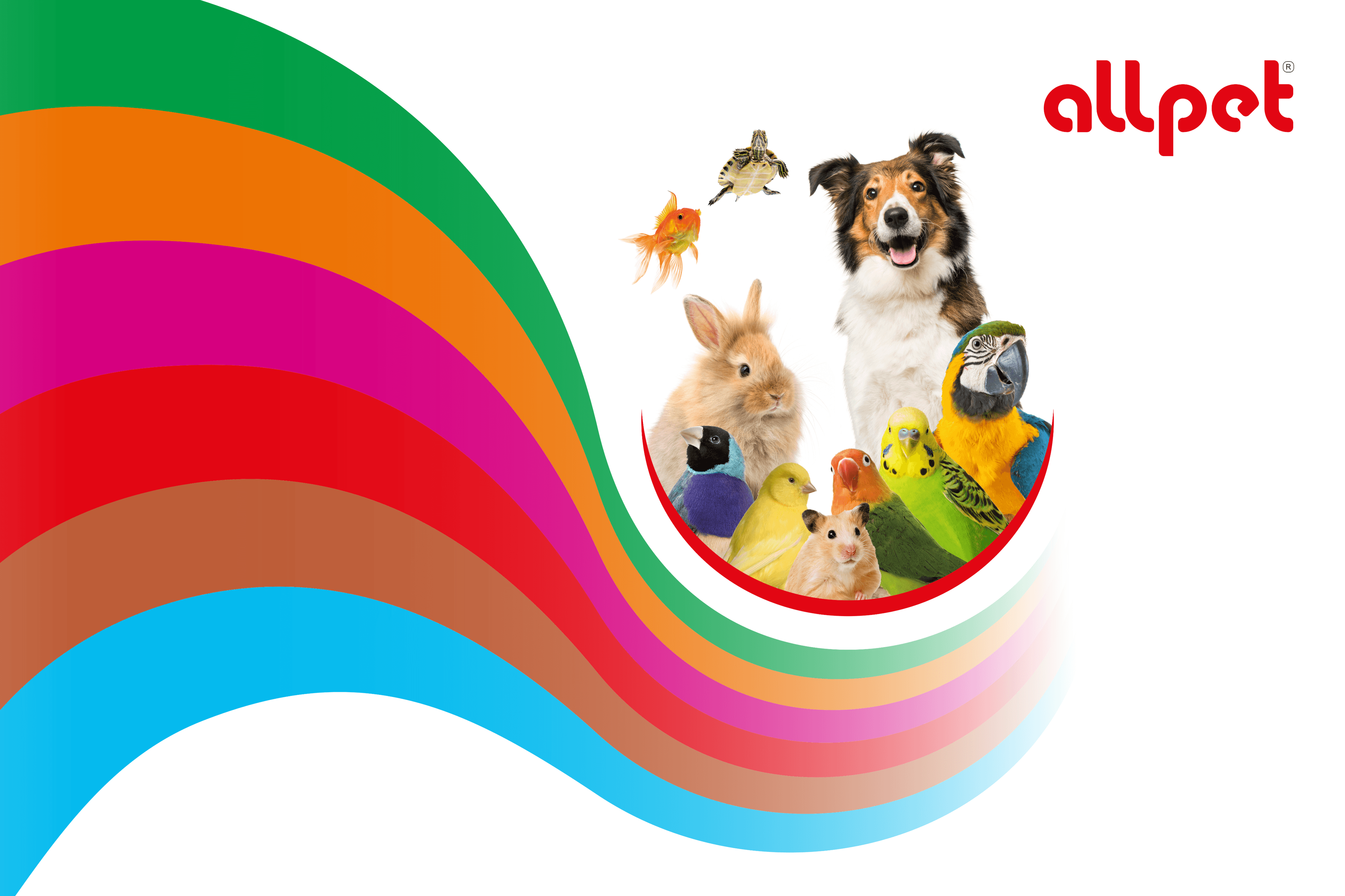 All Pet Srl