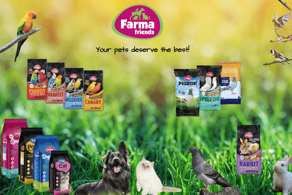 Farma Friends