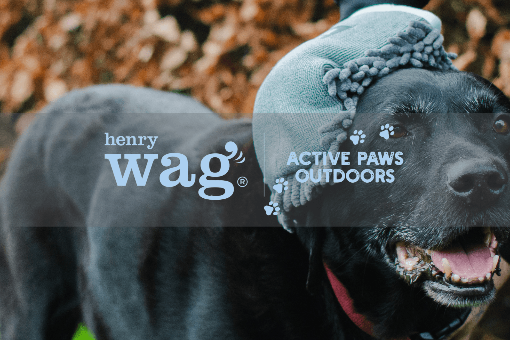 Henry Wag