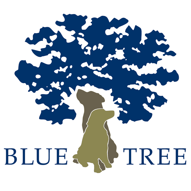 BLUE TREE GmbH logo