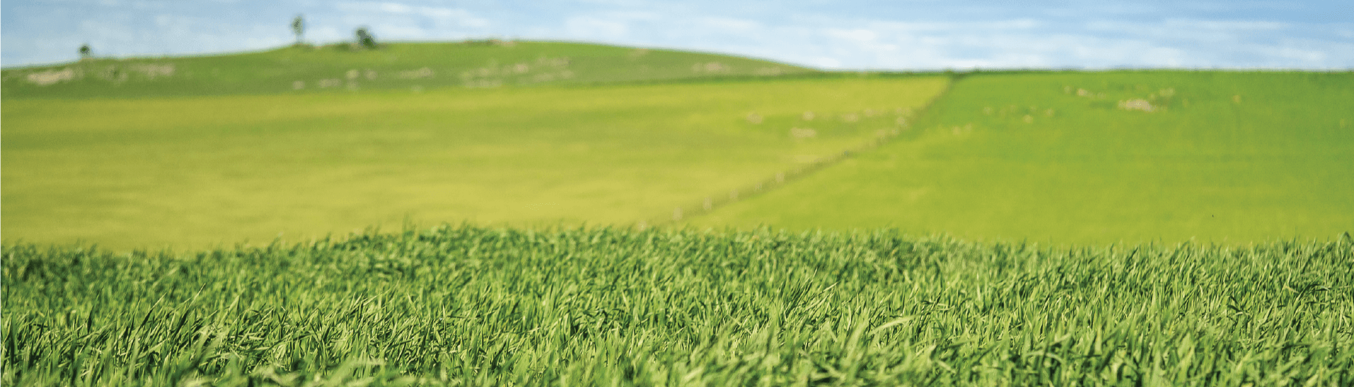 Vetafarm Australia Pty Ltd