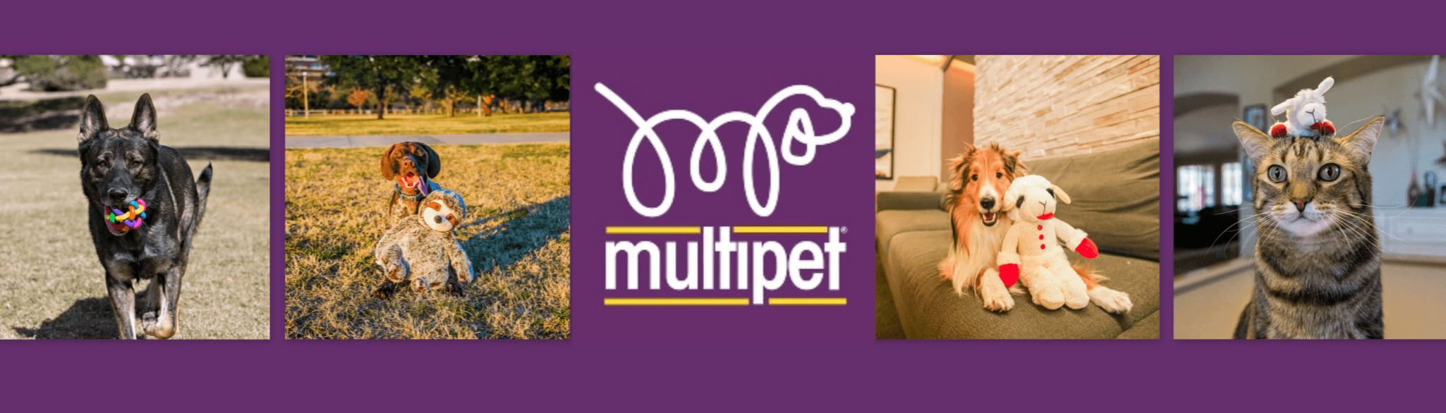 Multipet International Inc.