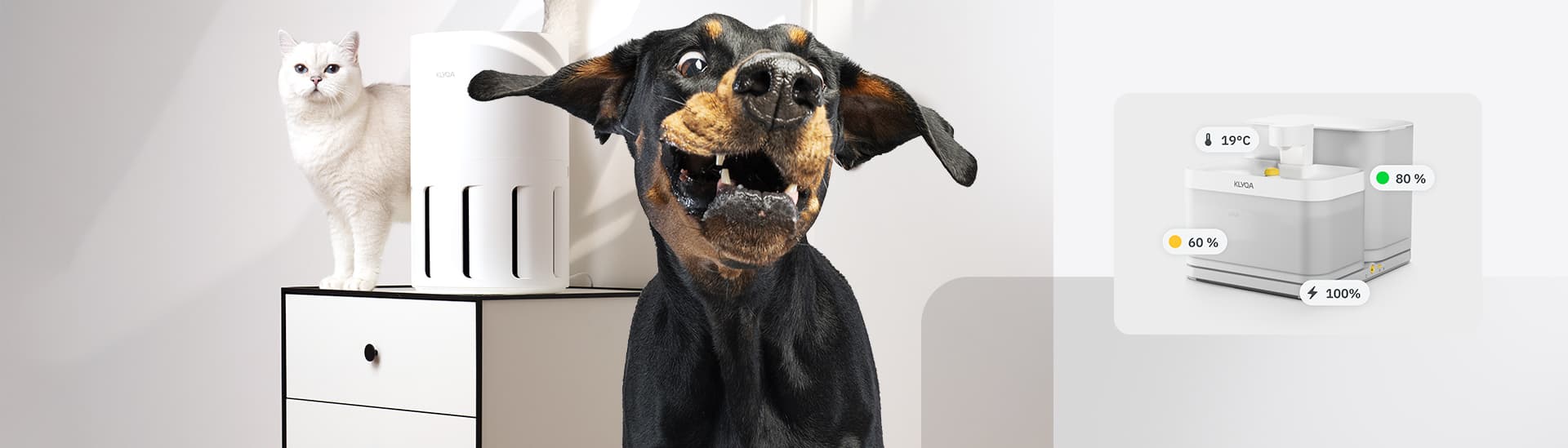 KLYQA | QConnex GmbH