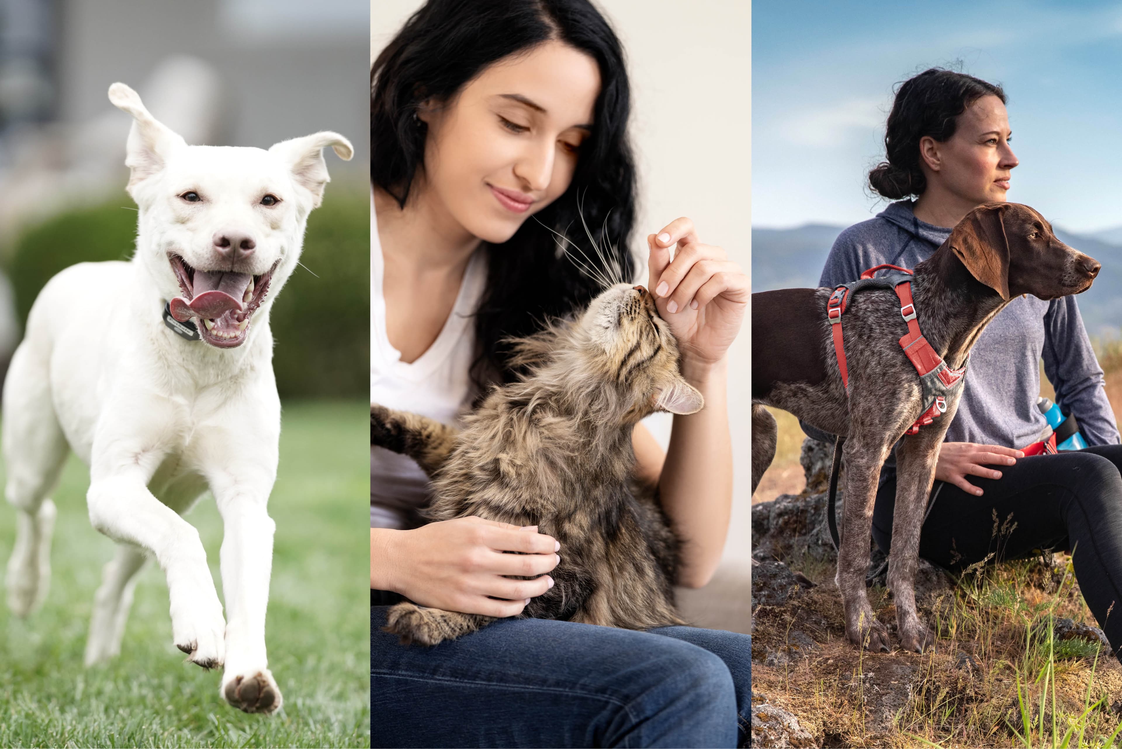 Radio Systems PetSafe Europe Ltd