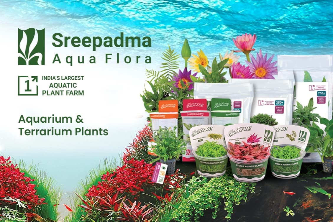 Sreepadma Aqua Flora