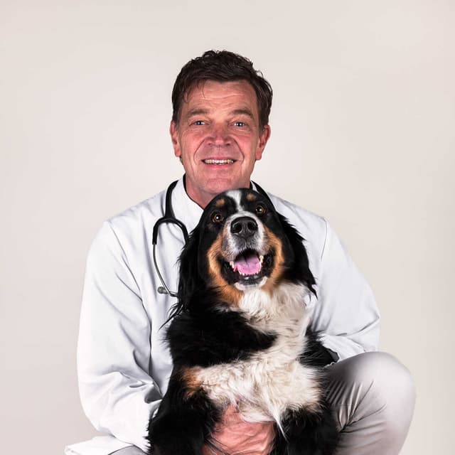 Erik Luijerink