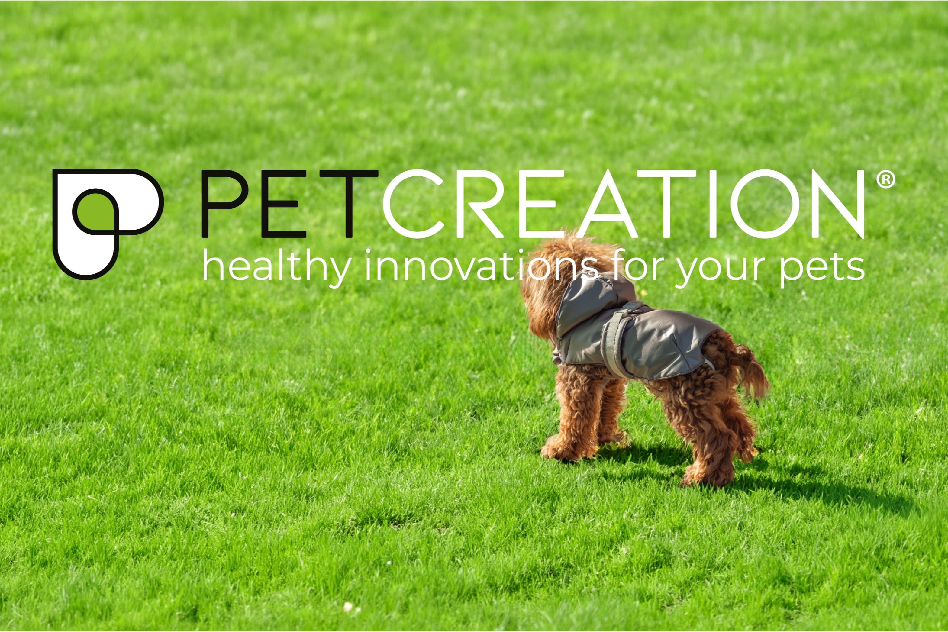 PET CREATION SRL