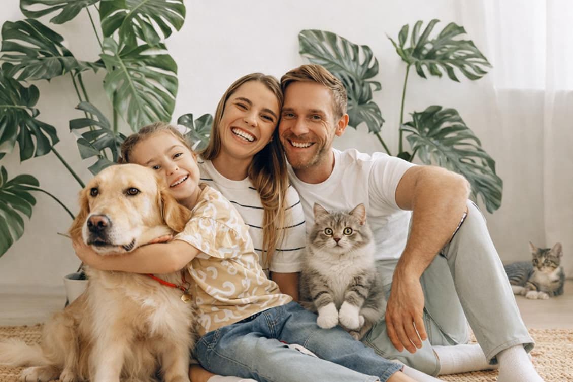 IFL Pharma - Pet Right