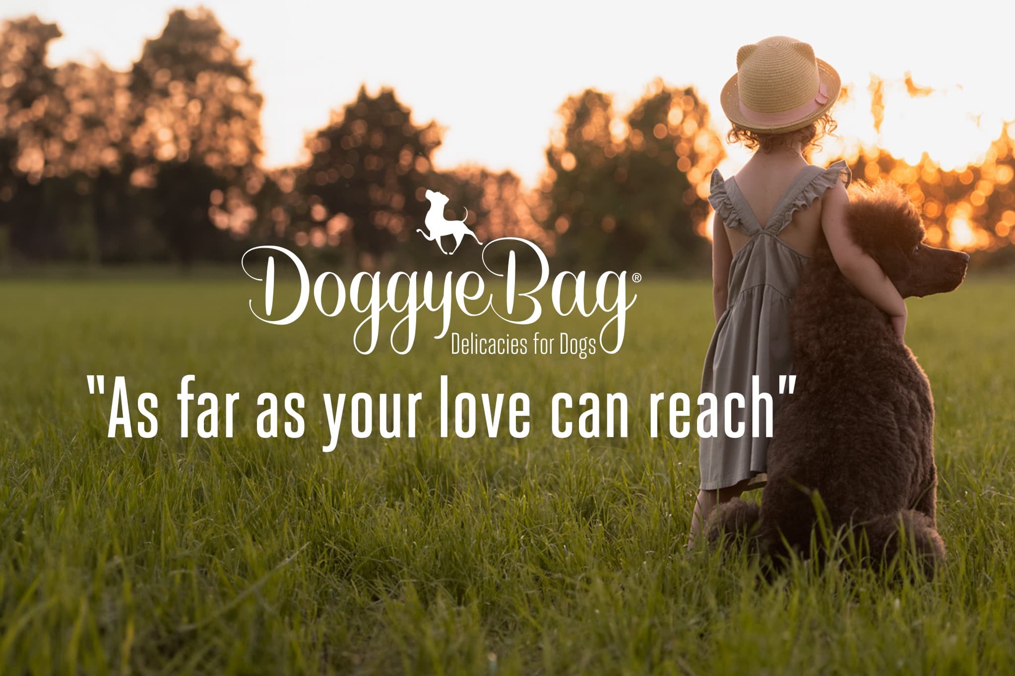 DoggyeBag