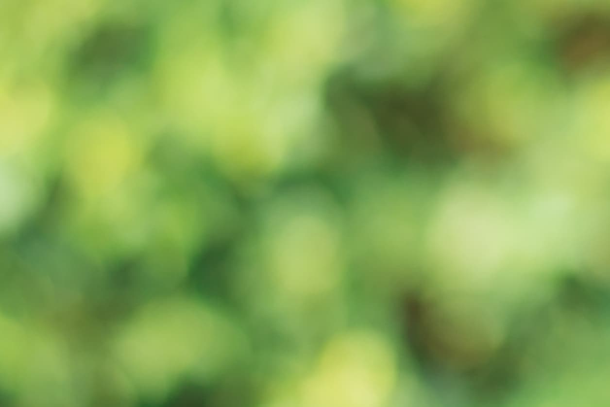 DOG'S NATURE GmbH