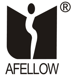 Afellow Display International Co.