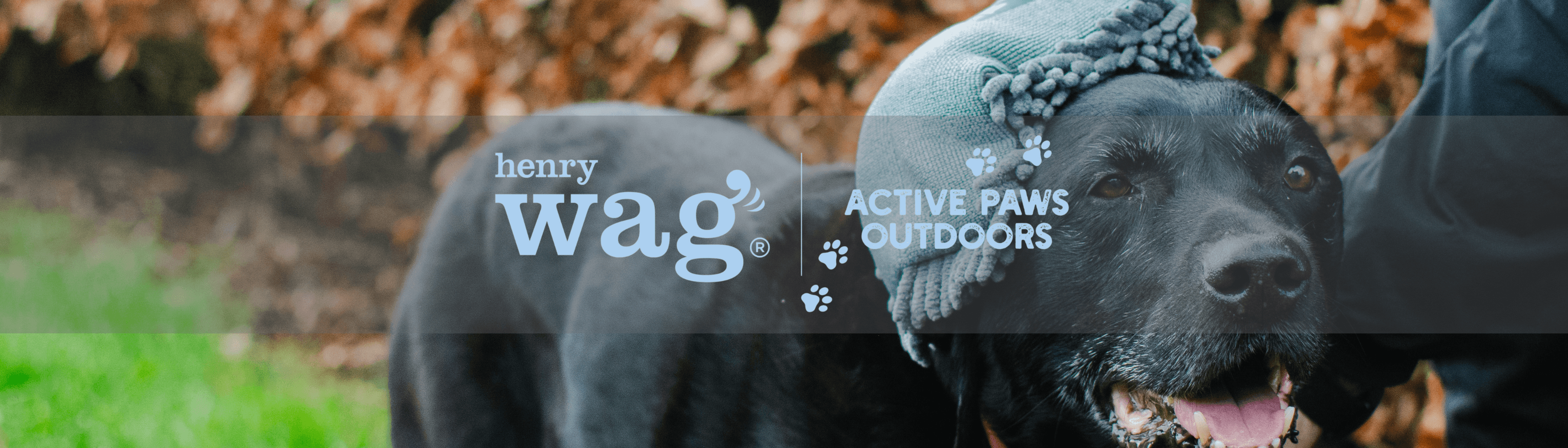 Henry Wag