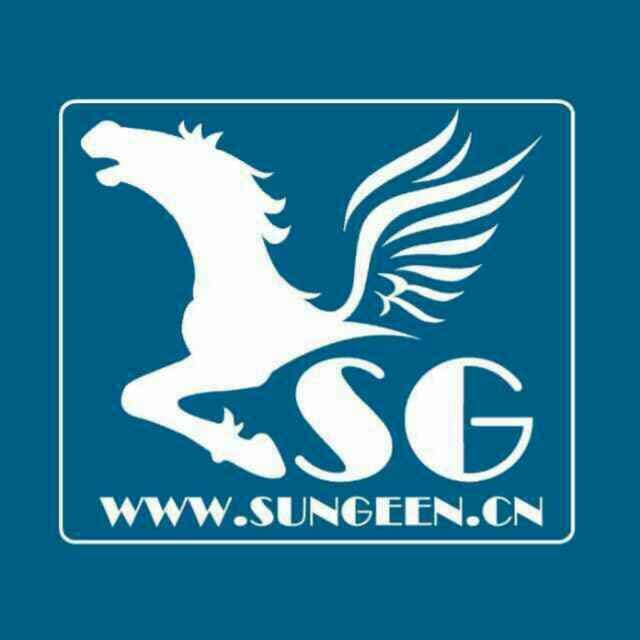 Dehua Sungeen Leisure Porcelain Co.,Ltd logo