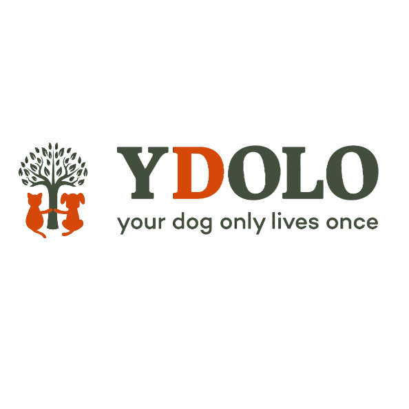 YDOLO logo