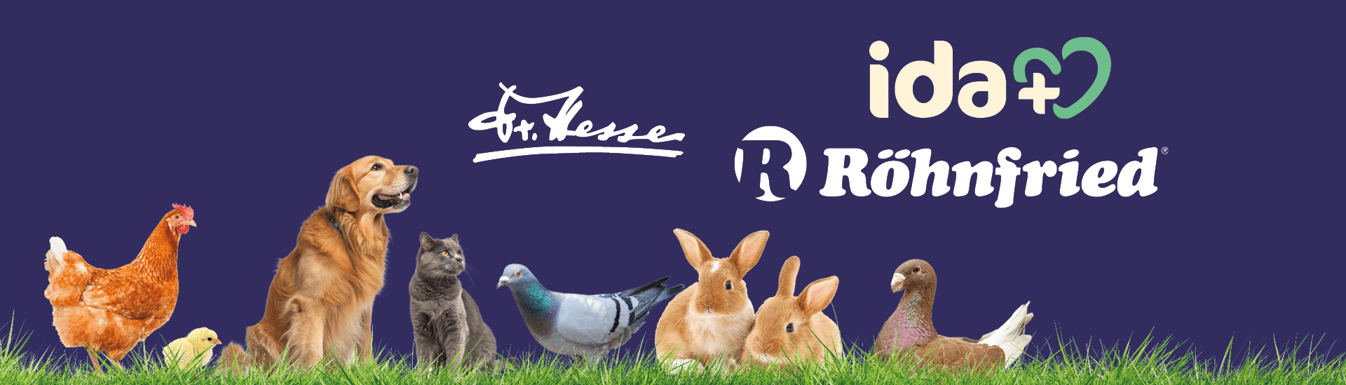 Dr. Hesse | ida+ | Röhnfried