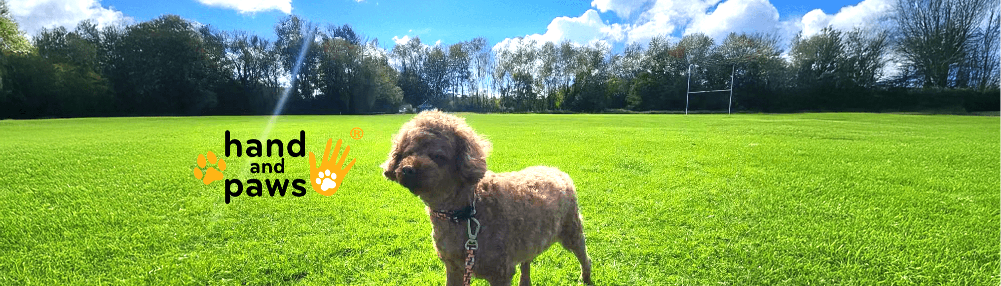 Anvin Ltd - (Hand and Paws)