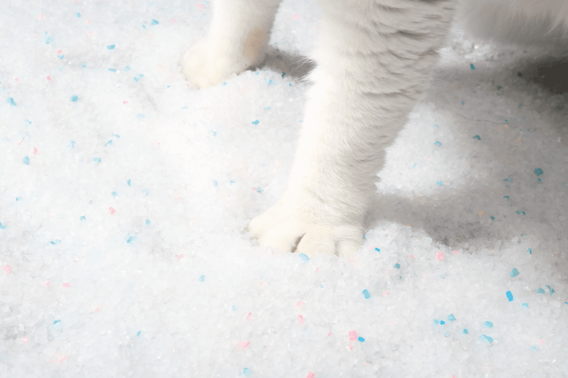 Sinchem Silica Gel Co., Ltd.