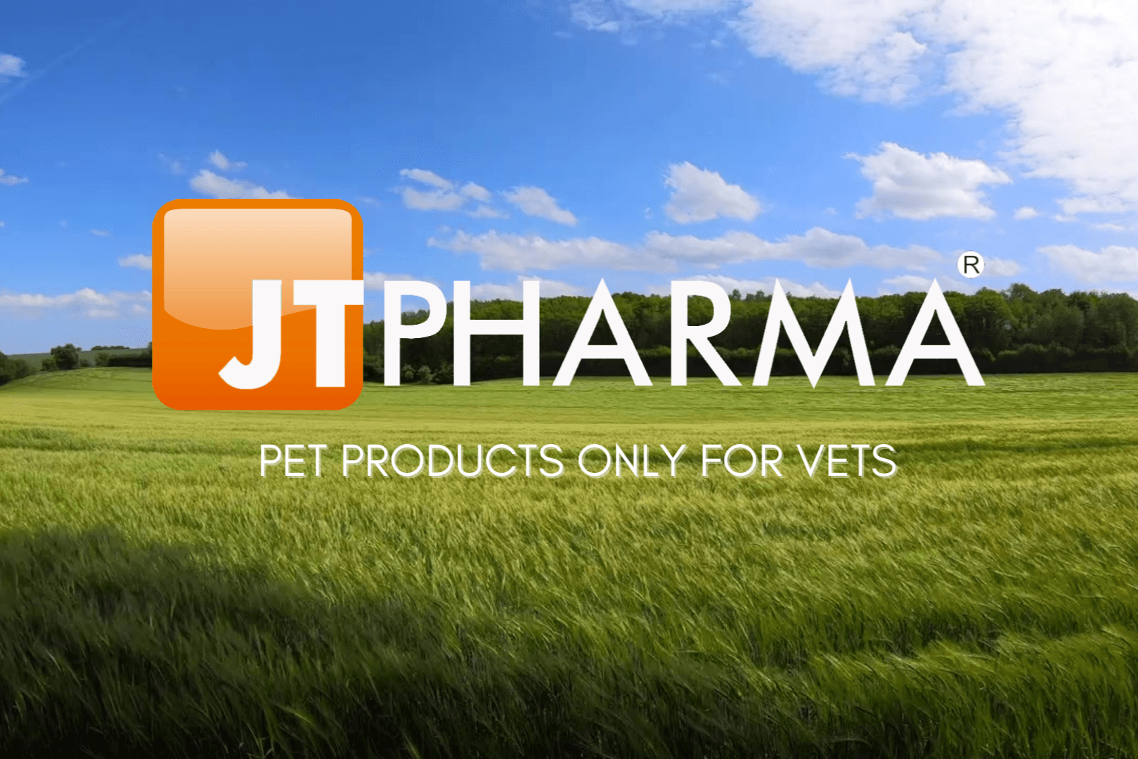 JT PHARMA, SL
