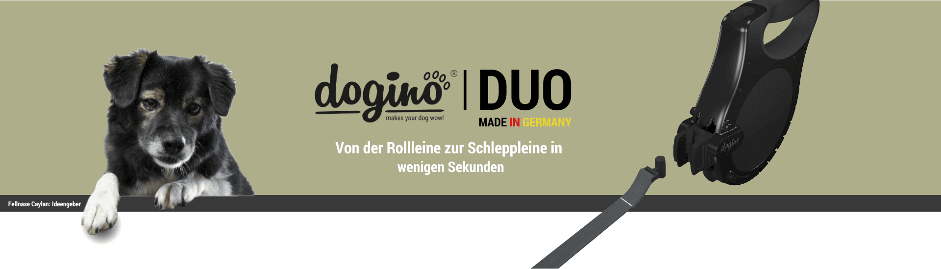 Dogino GmbH