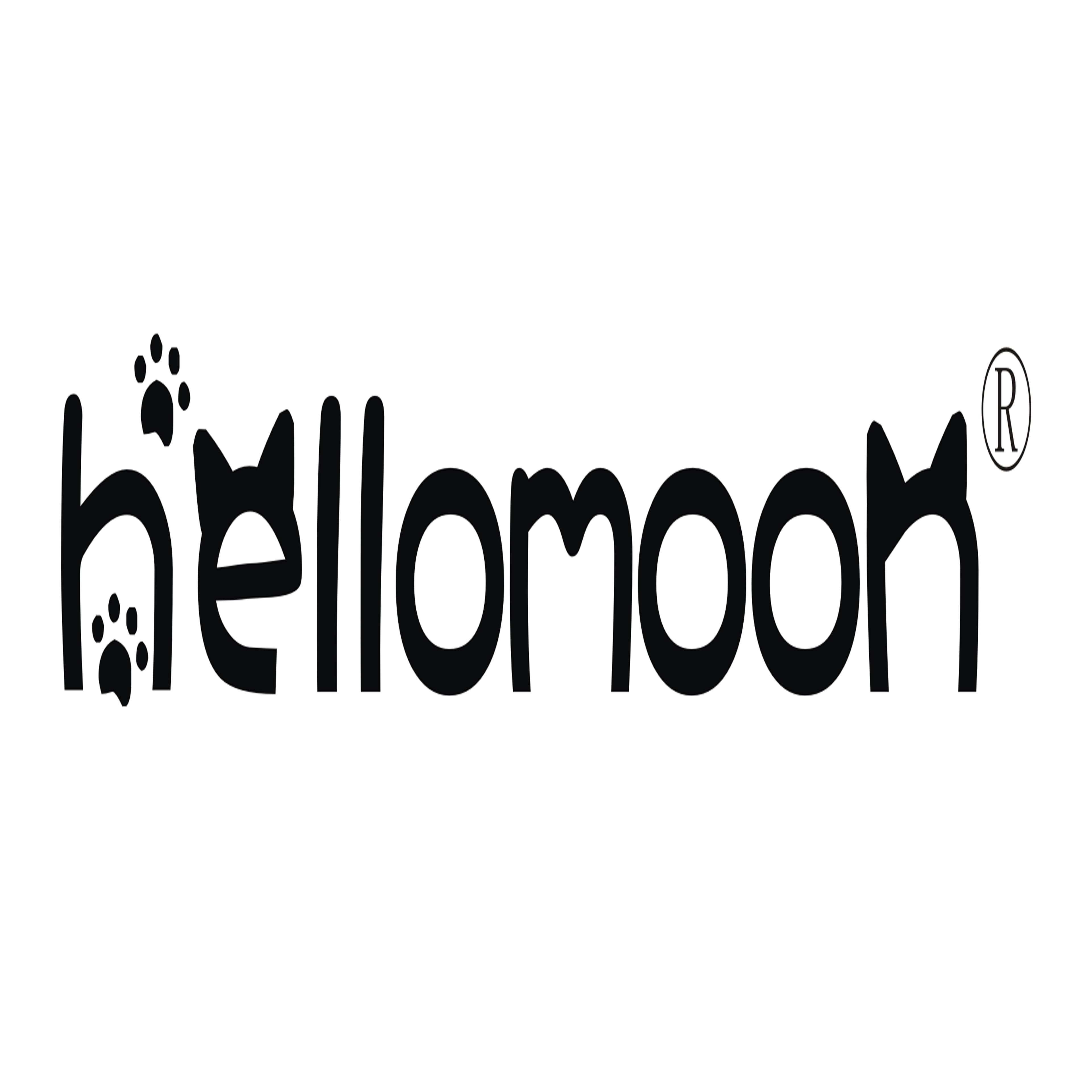 HELLOMOON GROUP LIMITED logo