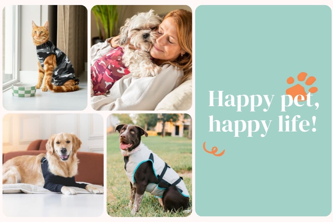 Suitical International B.V.