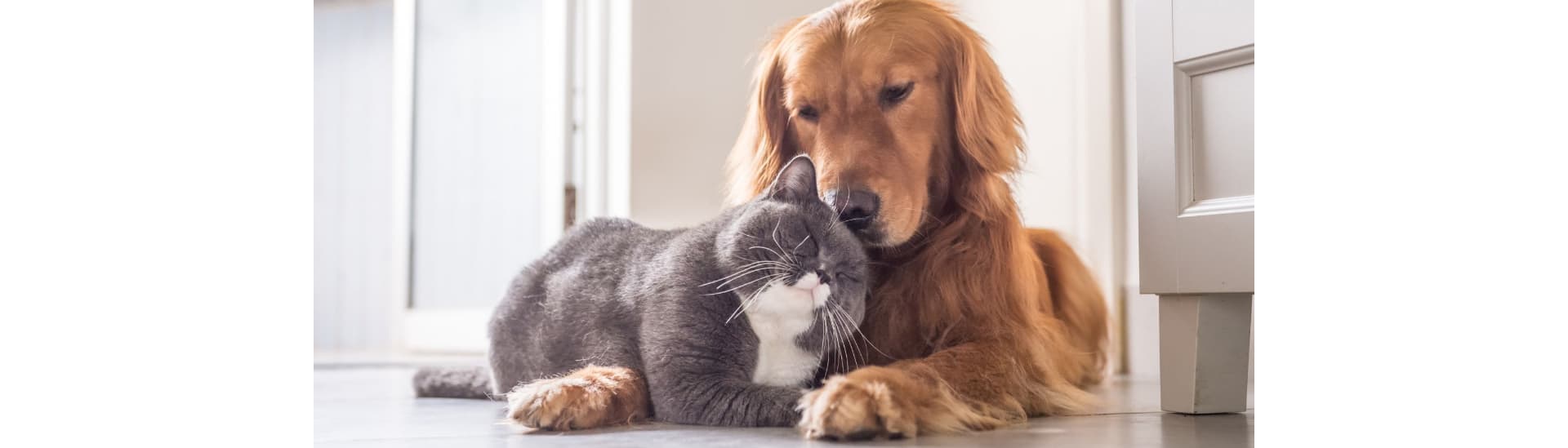 EURODUNA Technologies GmbH