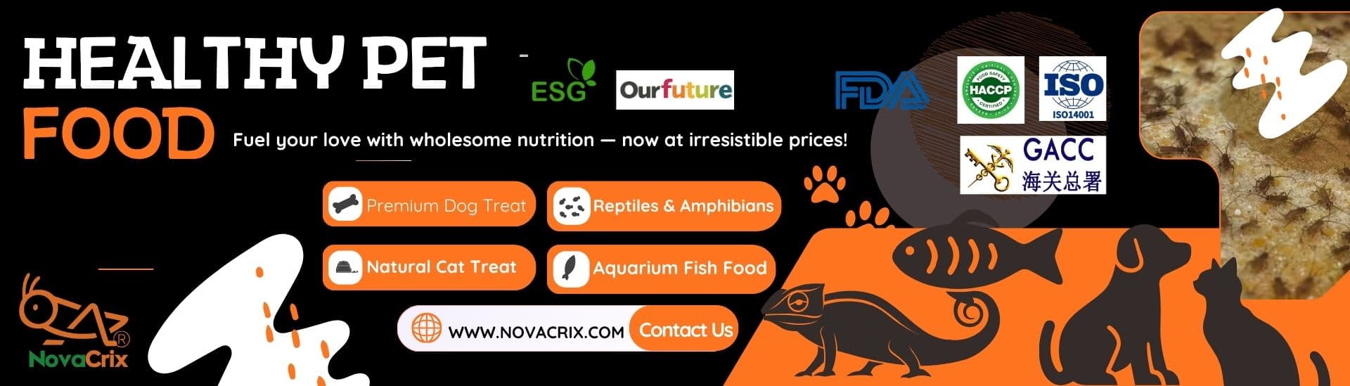 Novacrix Corporation