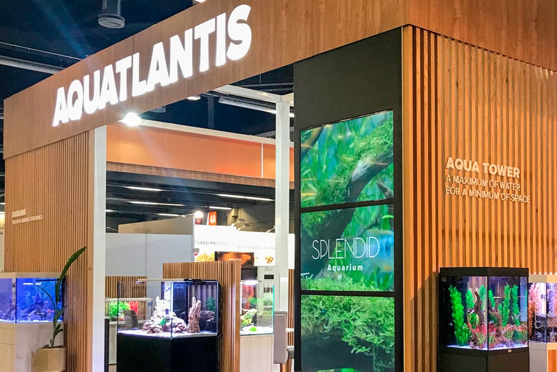 Aquatlantis S.A.
