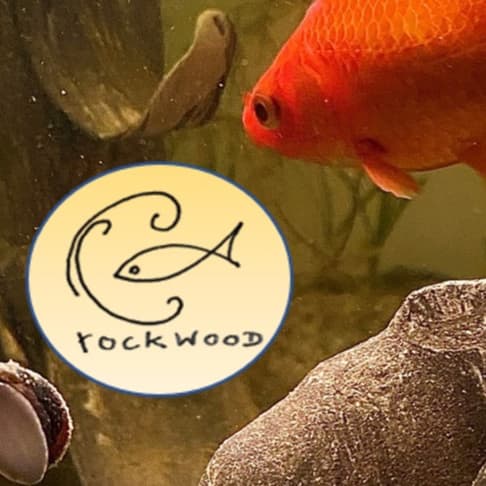 RockWood logo