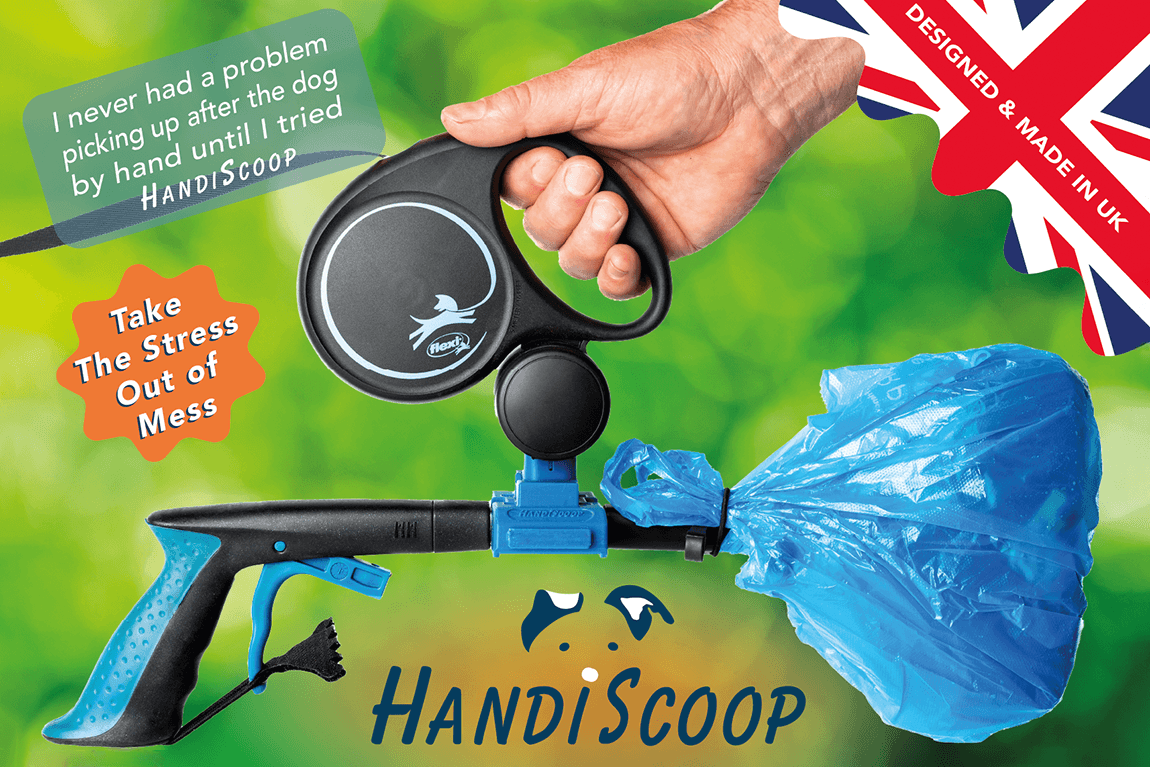 HandiScoop Systems Ltd