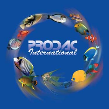 PRO.D.AC International S.r.l. logo