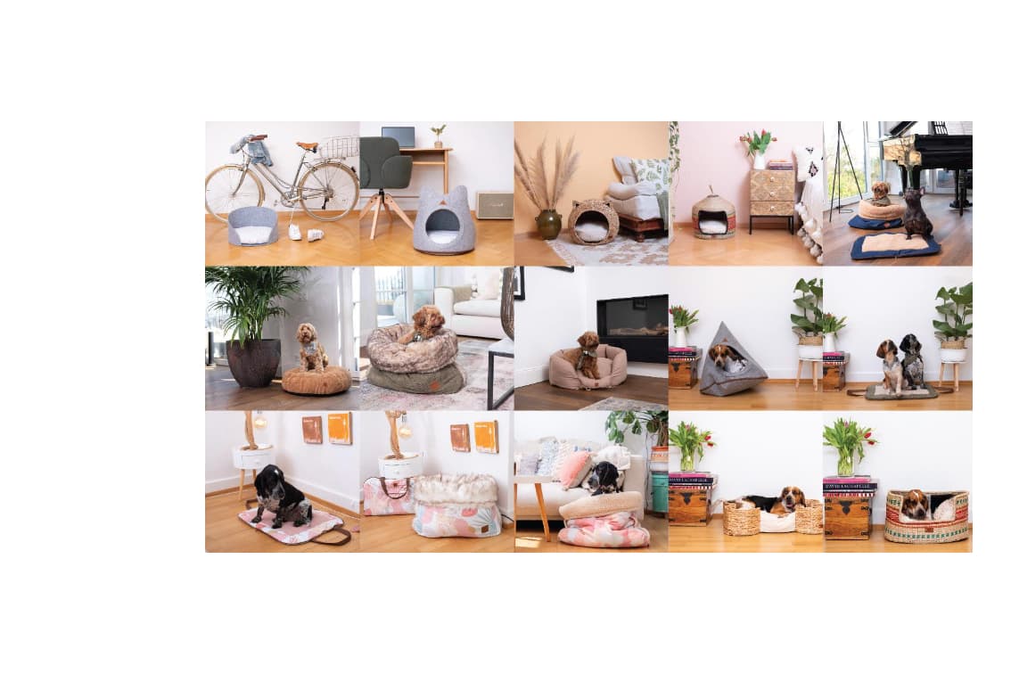 PET & Co.