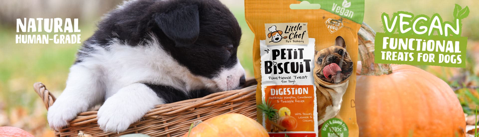 Little Chef - Pet Bakery