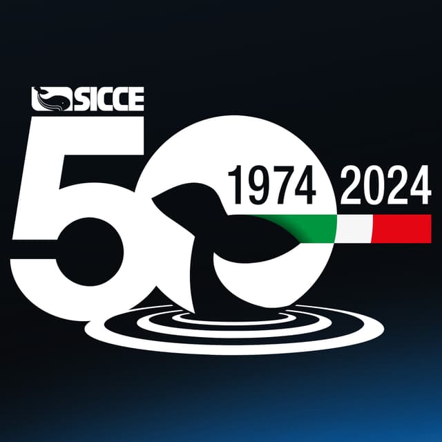 SICCE S.r.l. logo