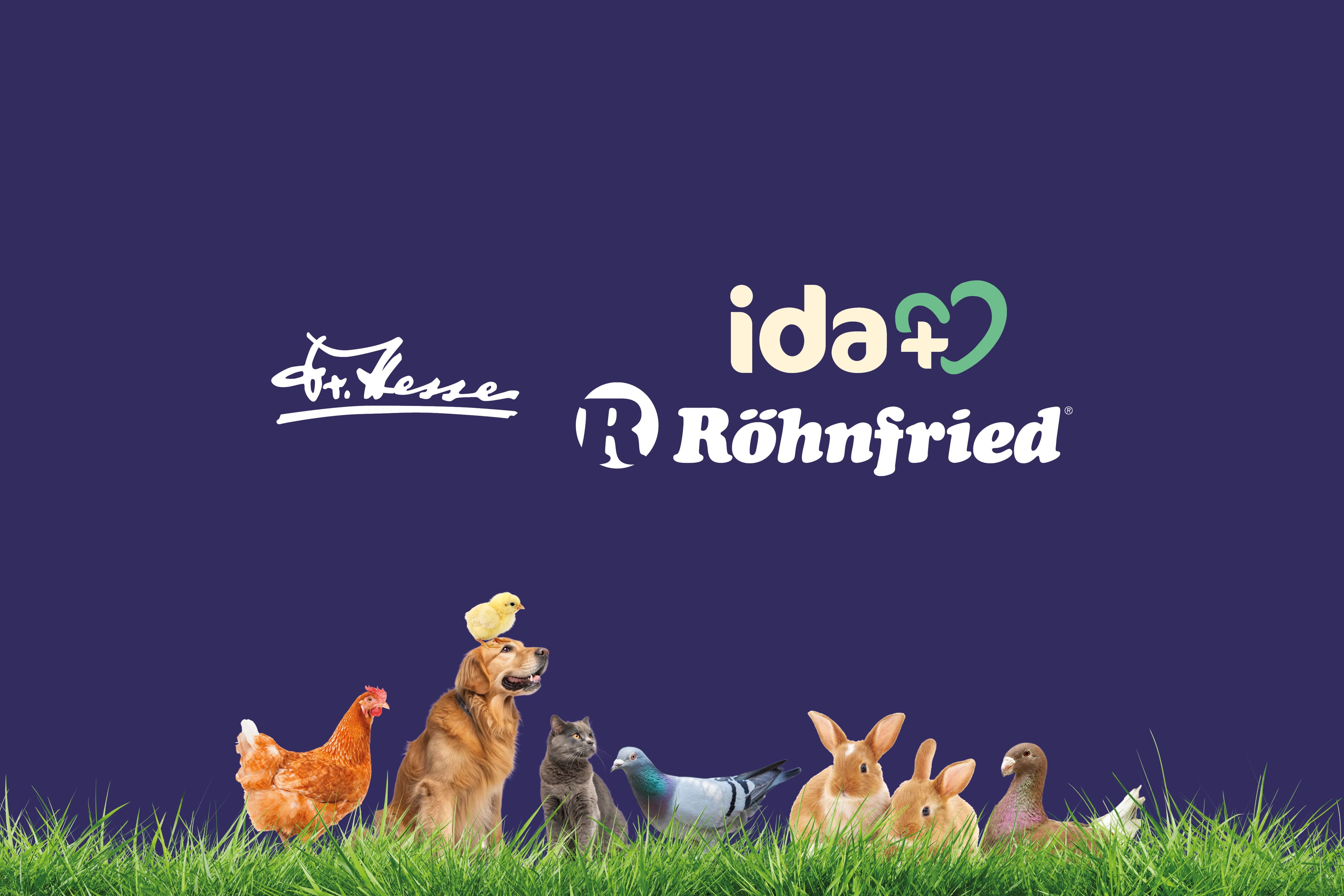 Dr. Hesse | ida+ | Röhnfried