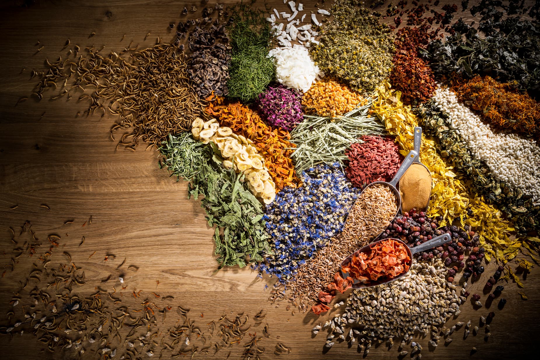 Kessler Zoologiegroßhandel GmbH & Co. KG