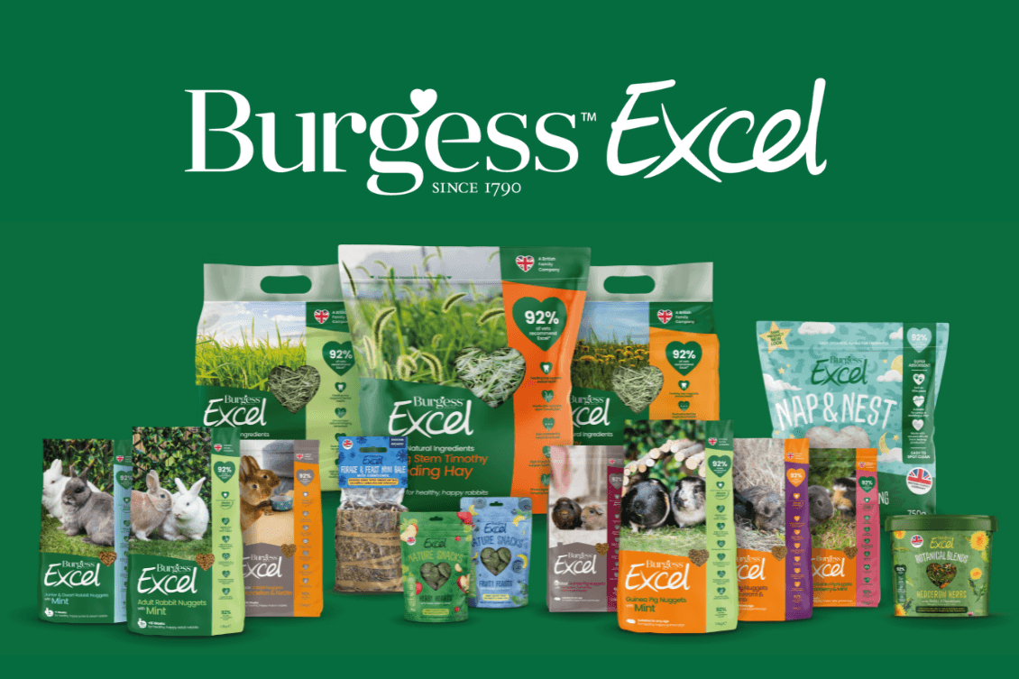 Burgess Excel