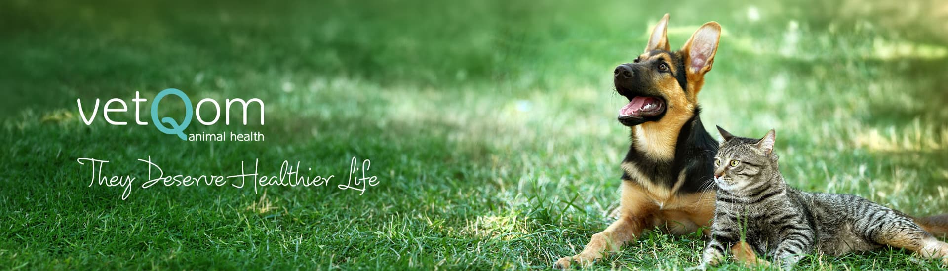 vetQom Animal Health