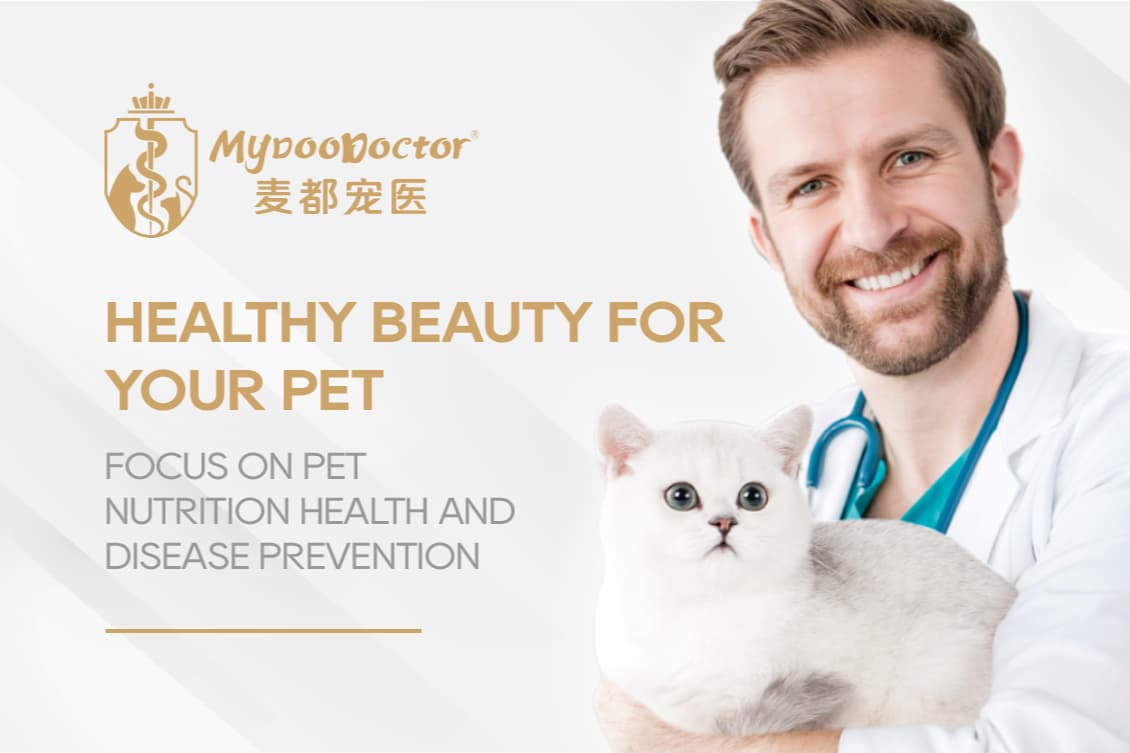 MyDooDoctor (Shanghai) Technology Developement Co,. Ltd.