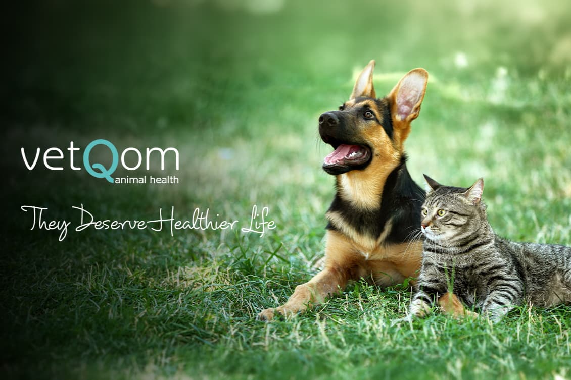vetQom Animal Health