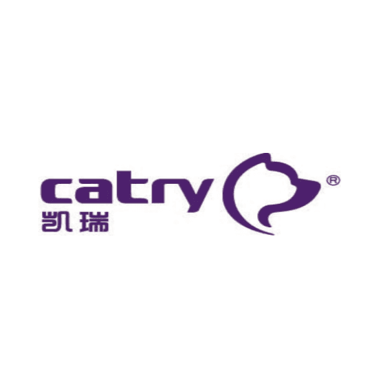 Shandong Dongyangtai Handicrafts Co., Ltd. logo