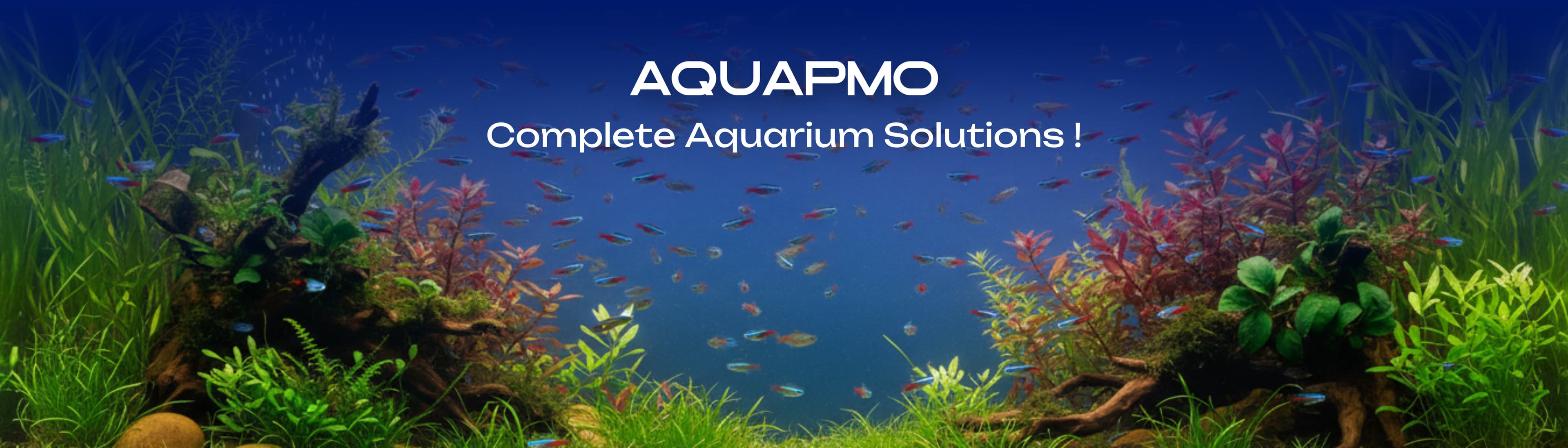 Aquapmo