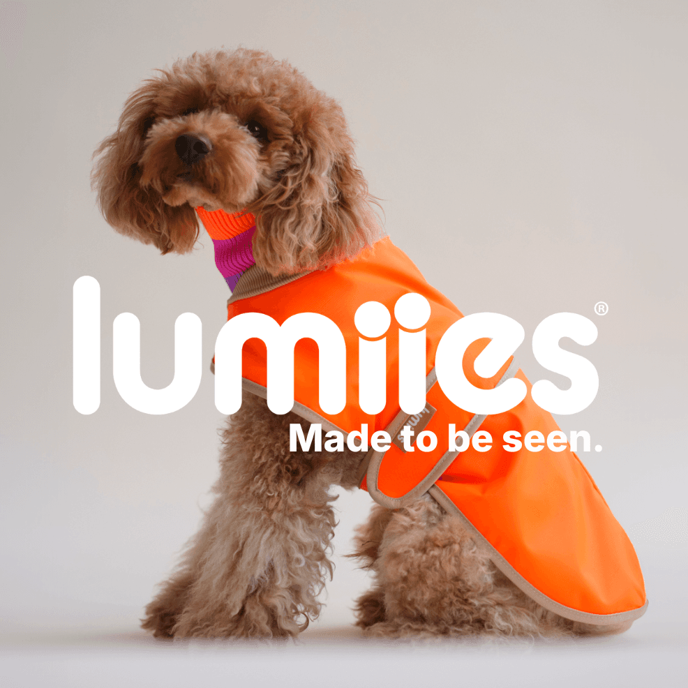 lumiies - high visibility GmbH logo