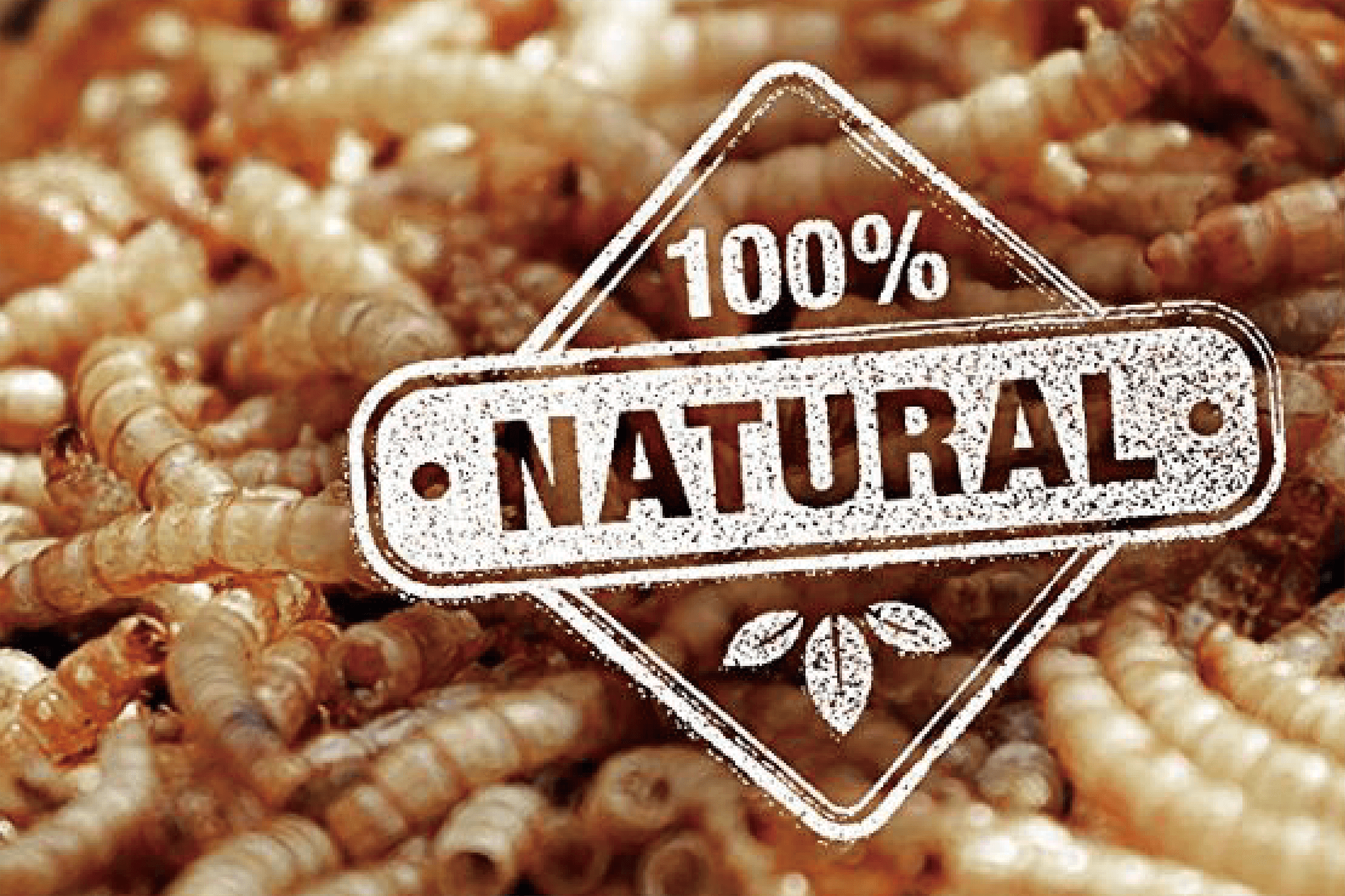 ZHEJIANG DINGYI BIOTECHNOLOGY CO., LTD