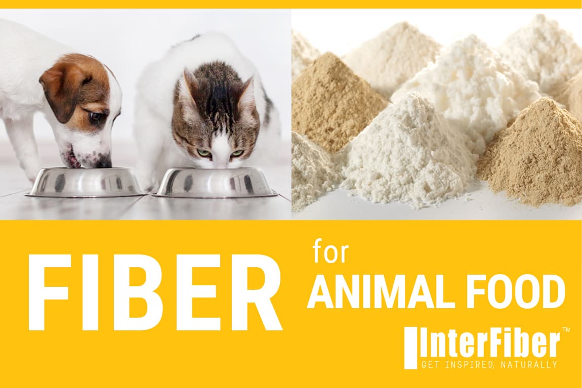 INTERFIBER SP. Z O.O.