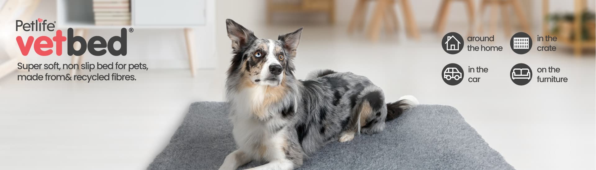 Petlife International Ltd
