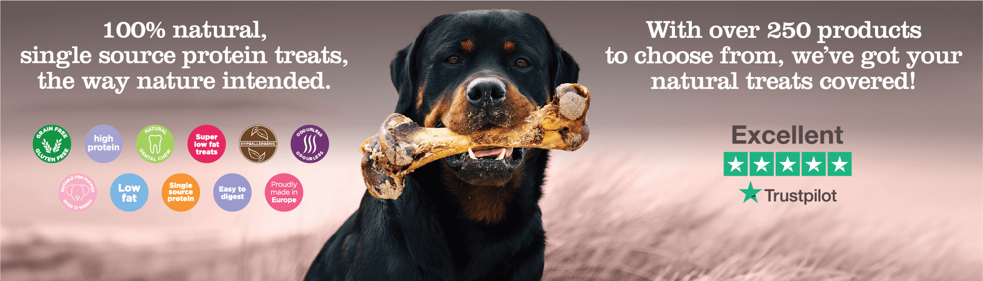 JR Pet Products